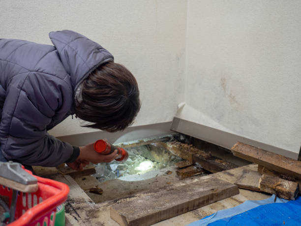 Best Asbestos and Lead Testing During Mold Inspection  in Winnsboro, SC