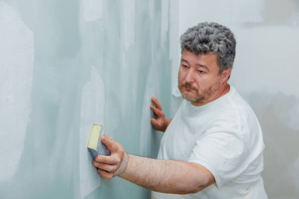 Best Black Mold Removal  in Winnsboro, SC